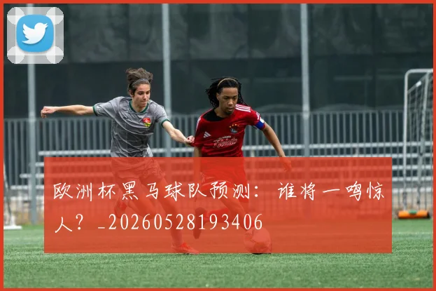 欧洲杯黑马球队预测：谁将一鸣惊人？_20260528193406
